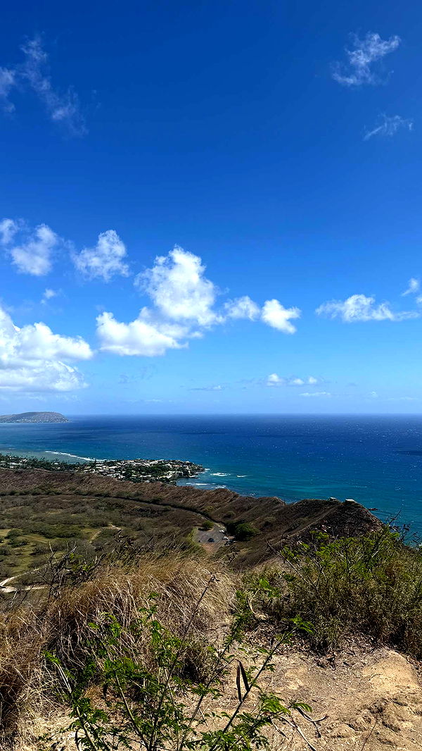 samantrasunny image ~ Altpins