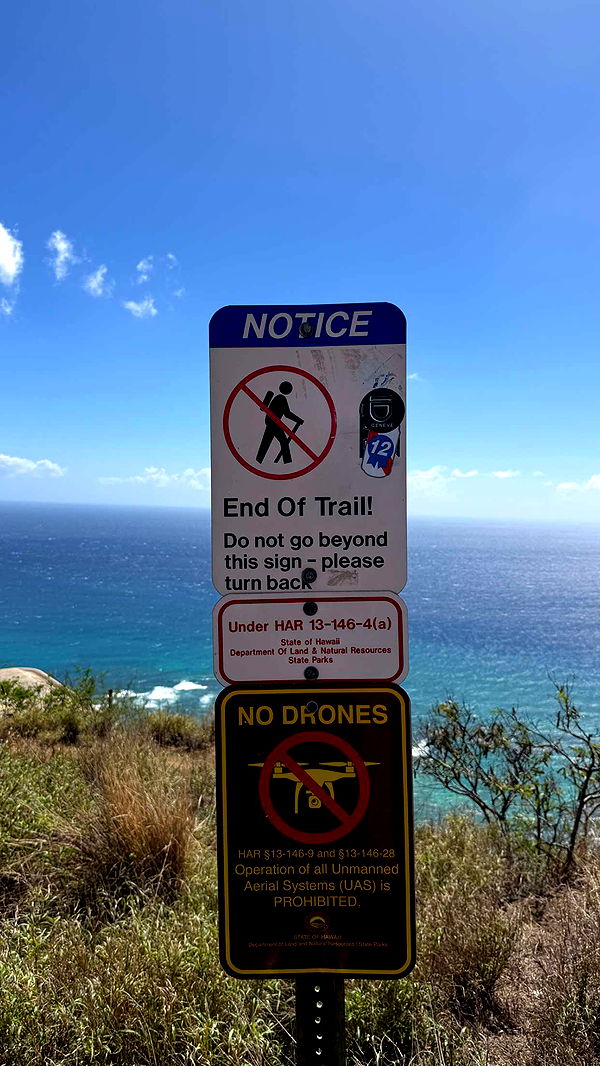 samantrasunny image ~ Altpins