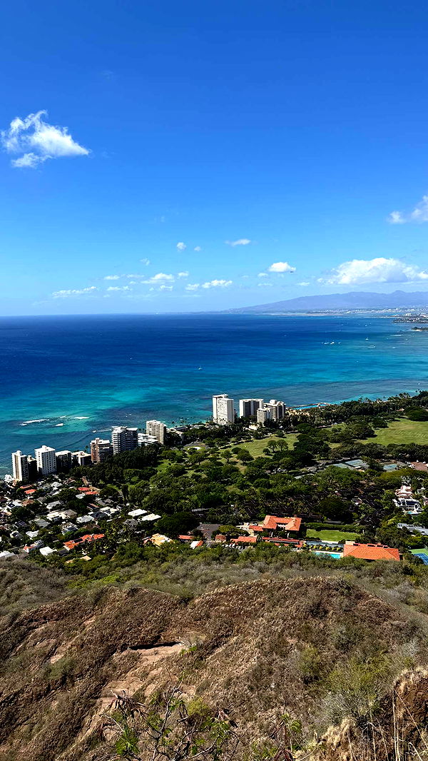 samantrasunny image ~ Altpins