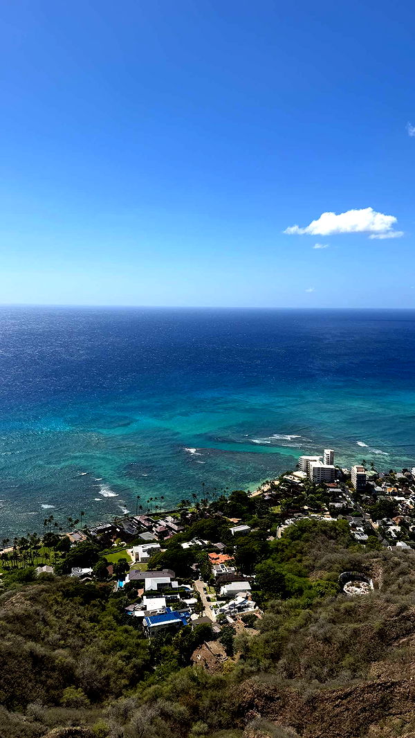 samantrasunny image ~ Altpins