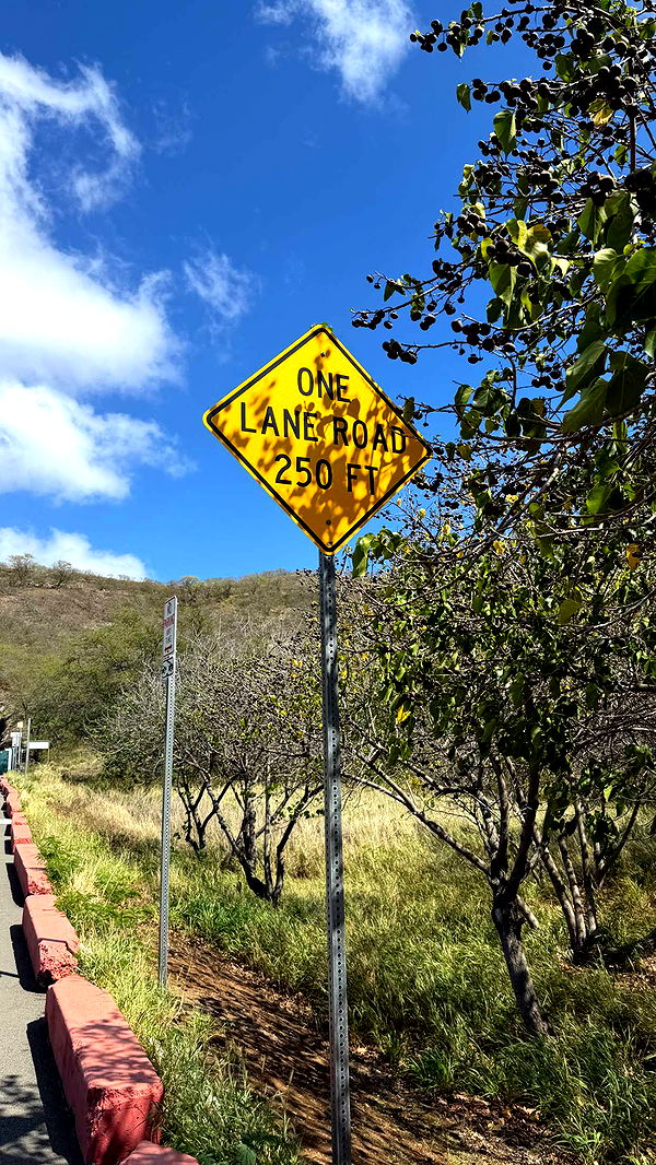 samantrasunny image ~ Altpins