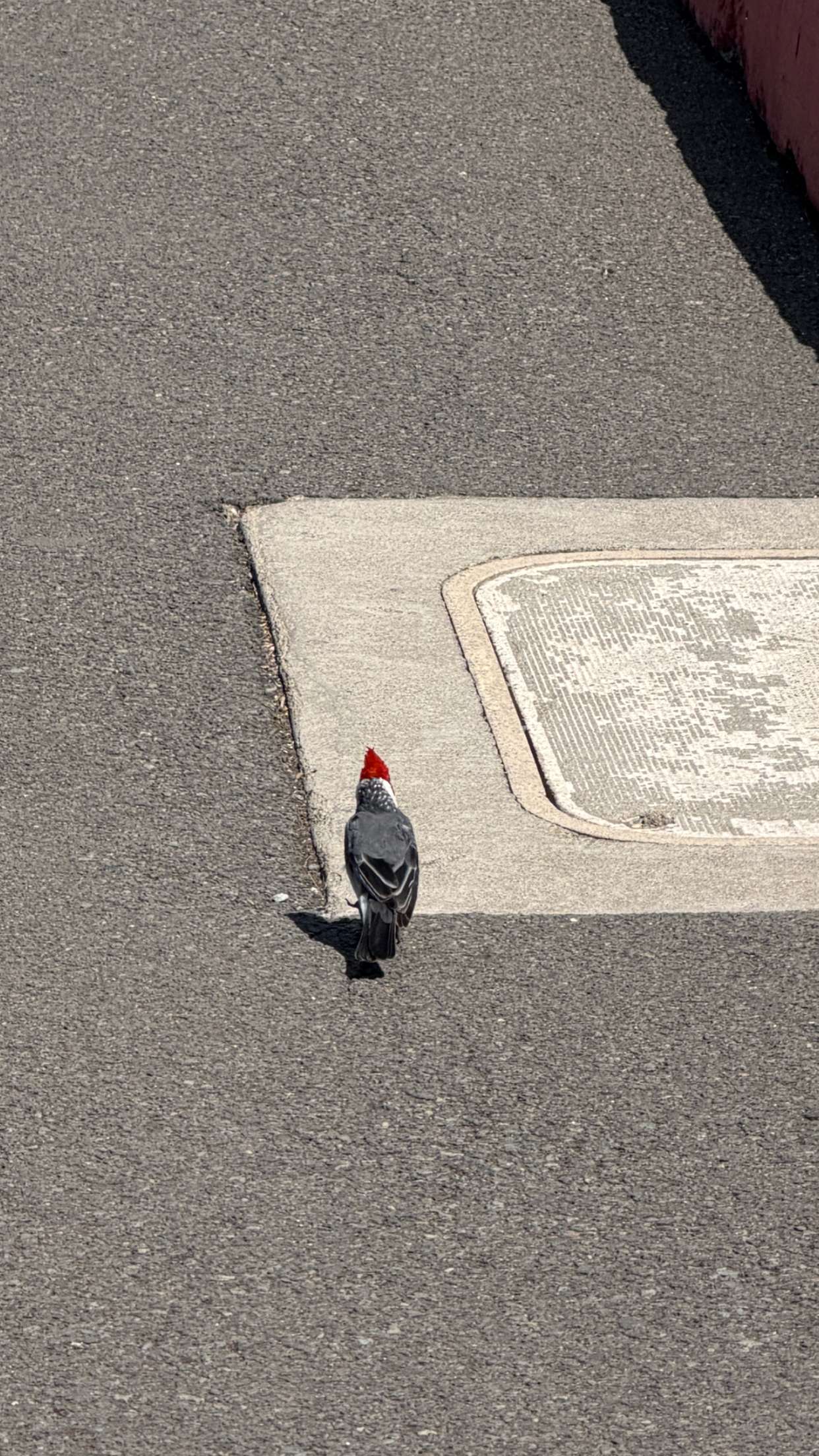 samantrasunny snapchat image archive image