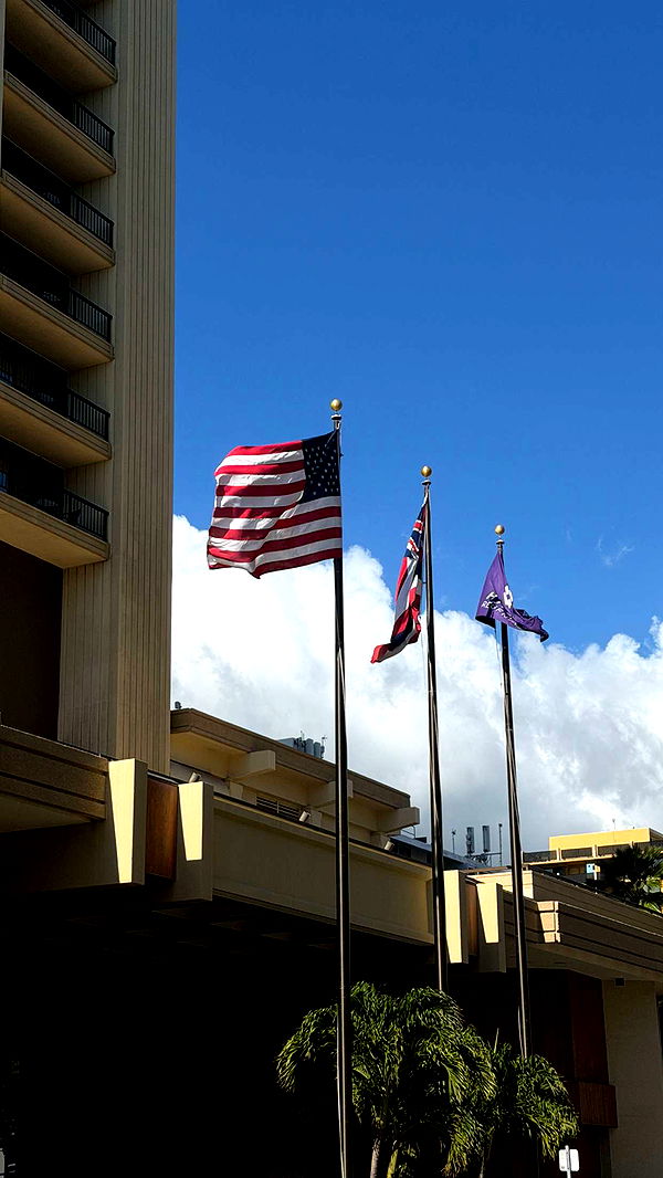 samantrasunny image ~ Altpins