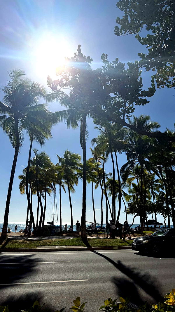 samantrasunny image ~ Altpins