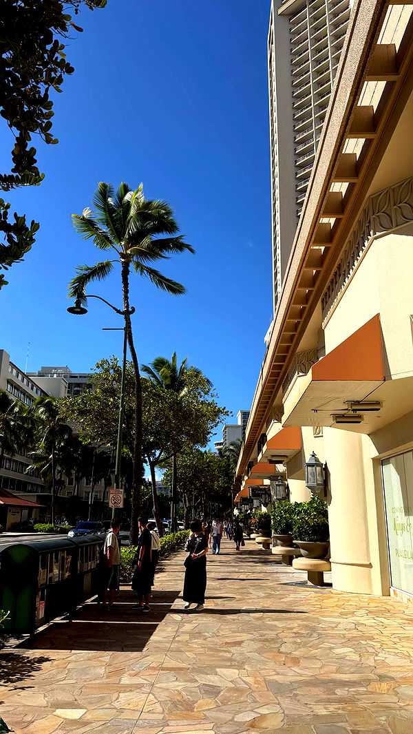 samantrasunny image ~ Altpins