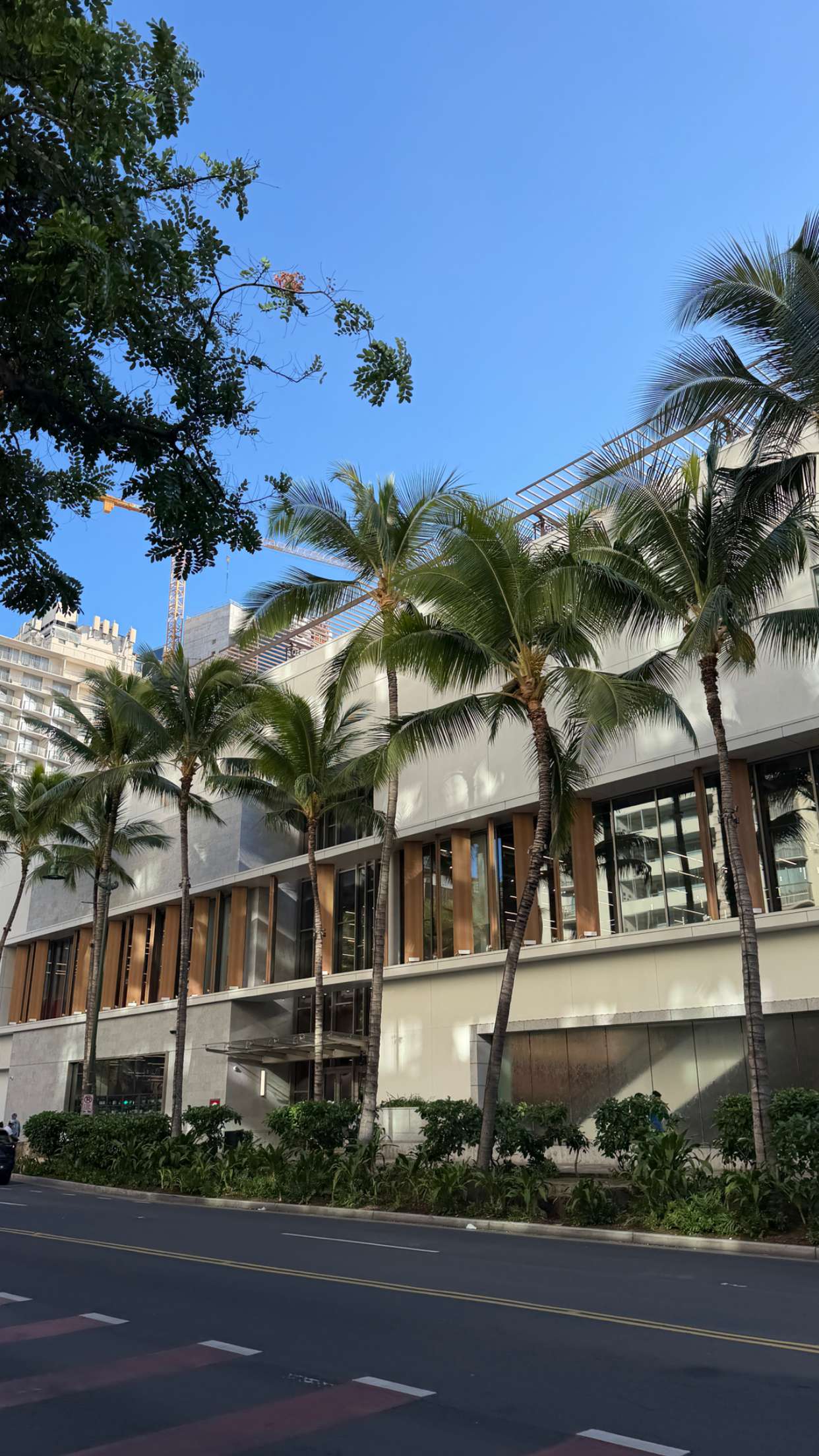 samantrasunny snapchat image archive image