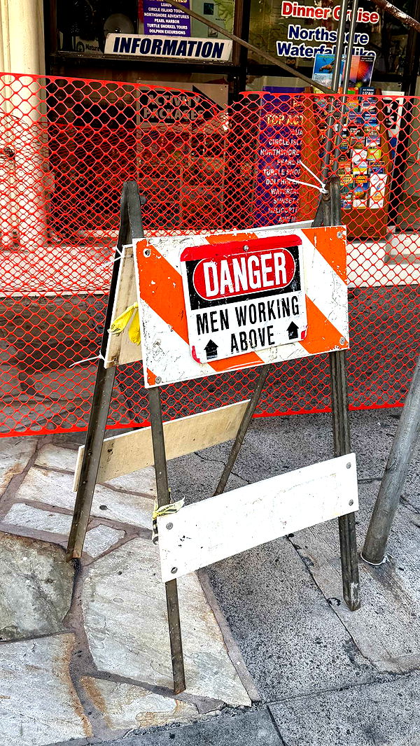 samantrasunny image ~ Altpins