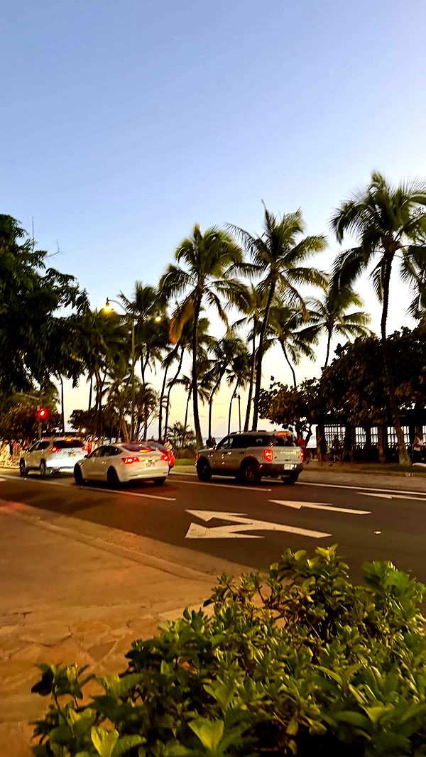 samantrasunny image ~ Altpins