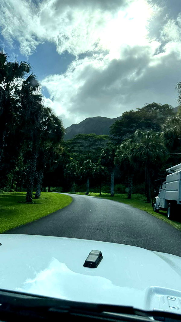 samantrasunny image ~ Altpins