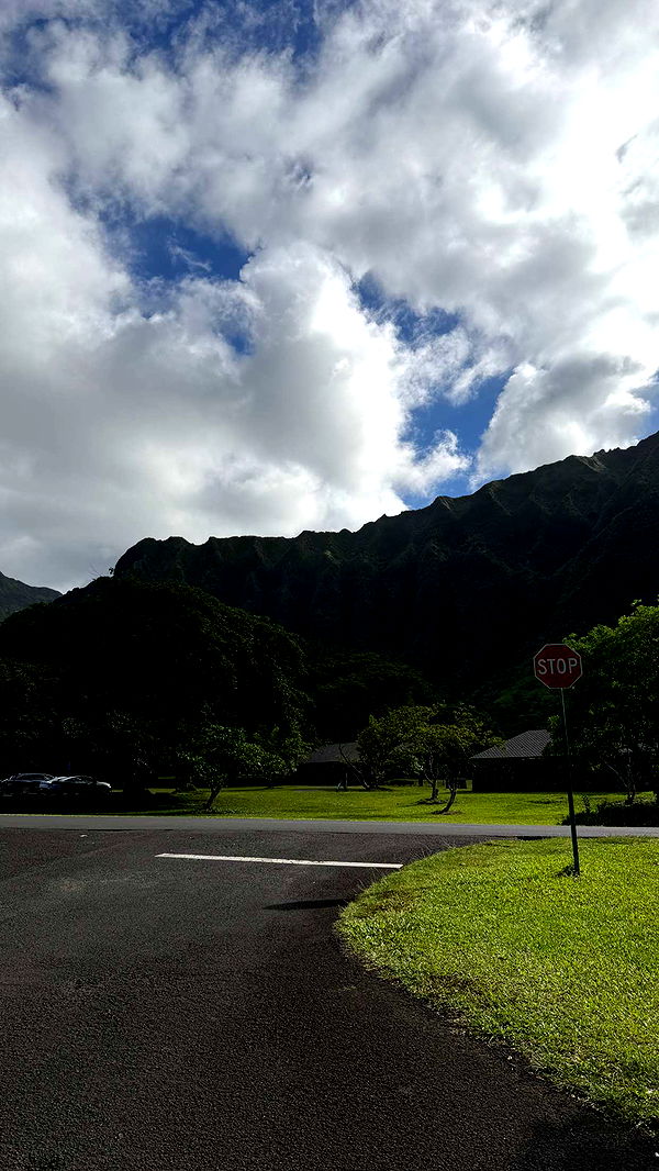 samantrasunny image ~ Altpins