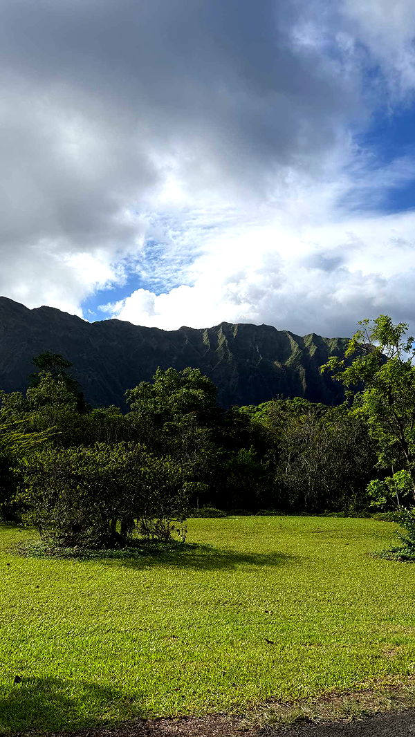 samantrasunny image ~ Altpins