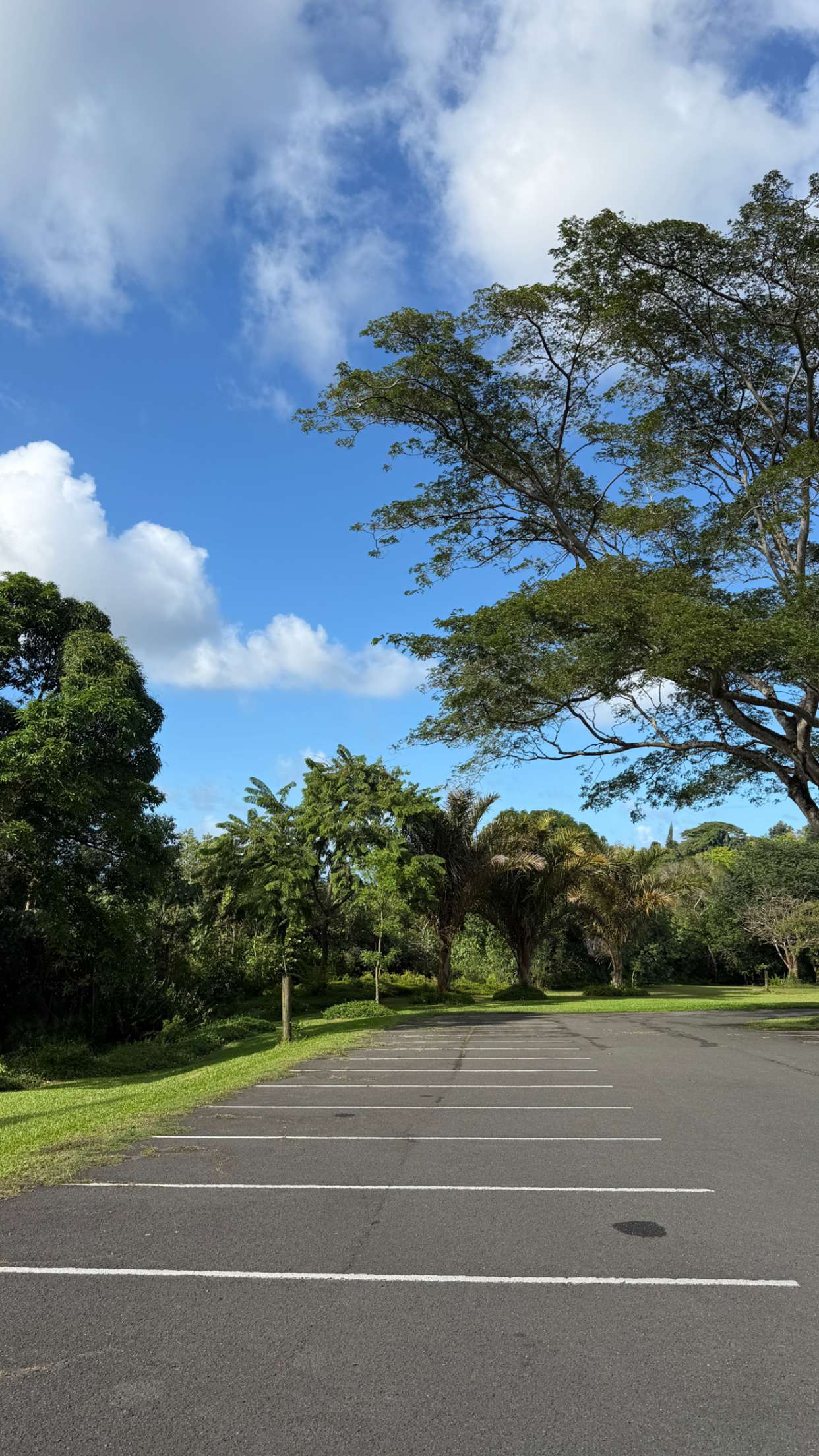 samantrasunny snapchat image archive image