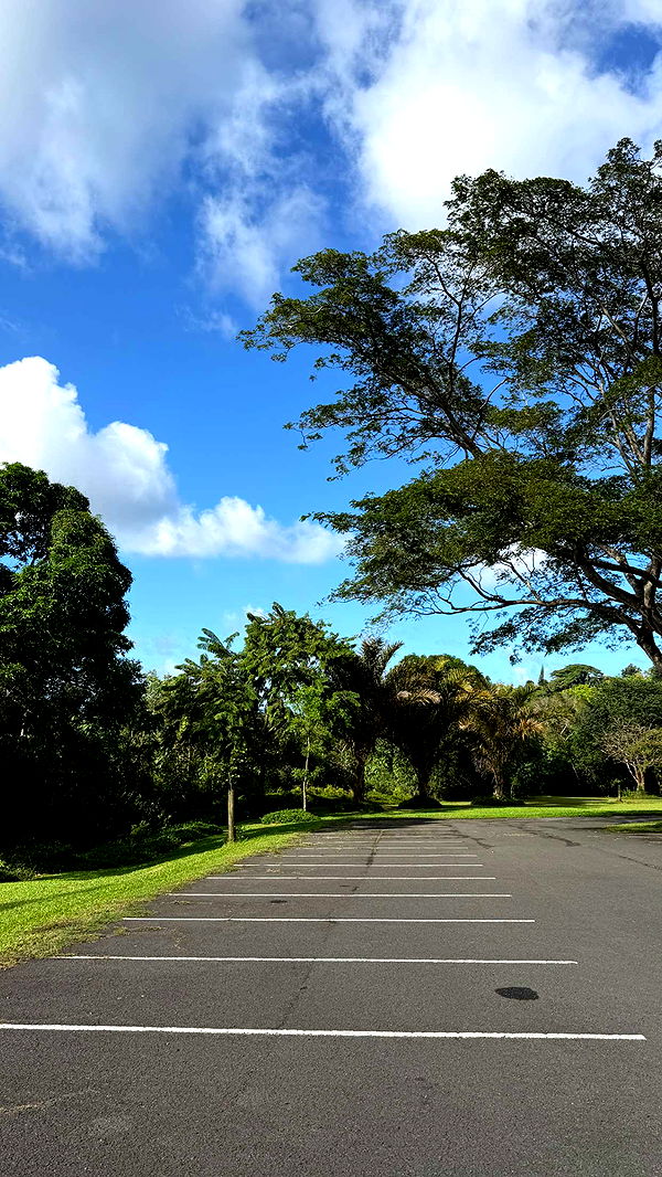 samantrasunny image ~ Altpins