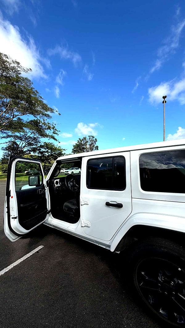 samantrasunny image ~ Altpins