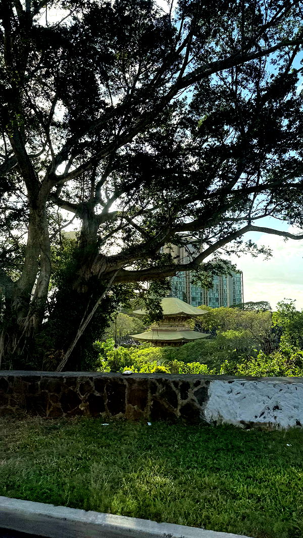 samantrasunny image ~ Altpins