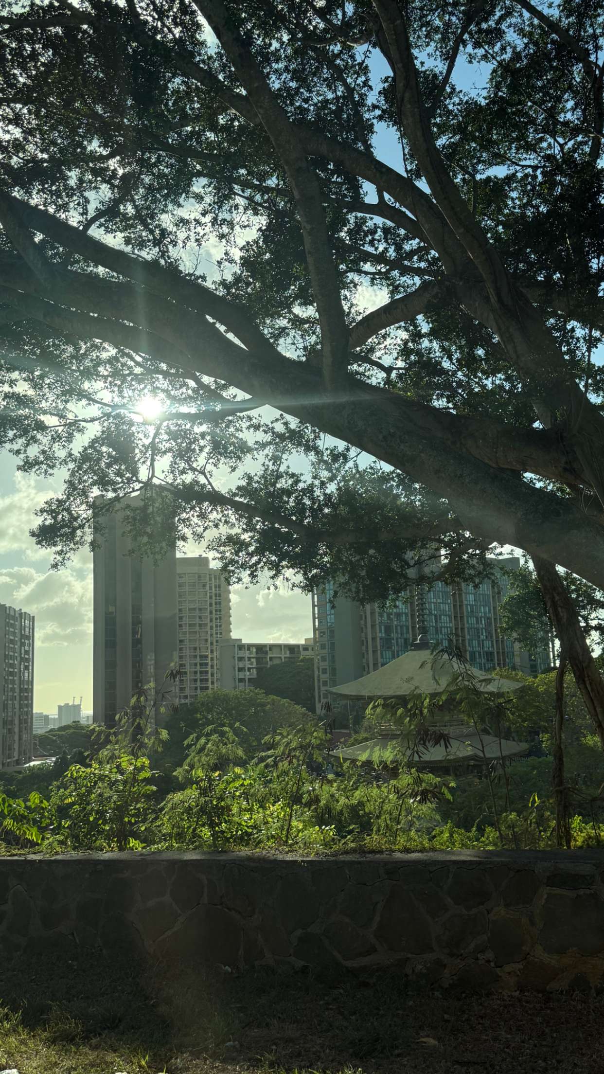 samantrasunny snapchat image archive image