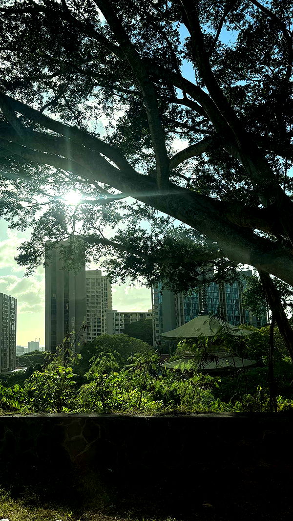 samantrasunny image ~ Altpins