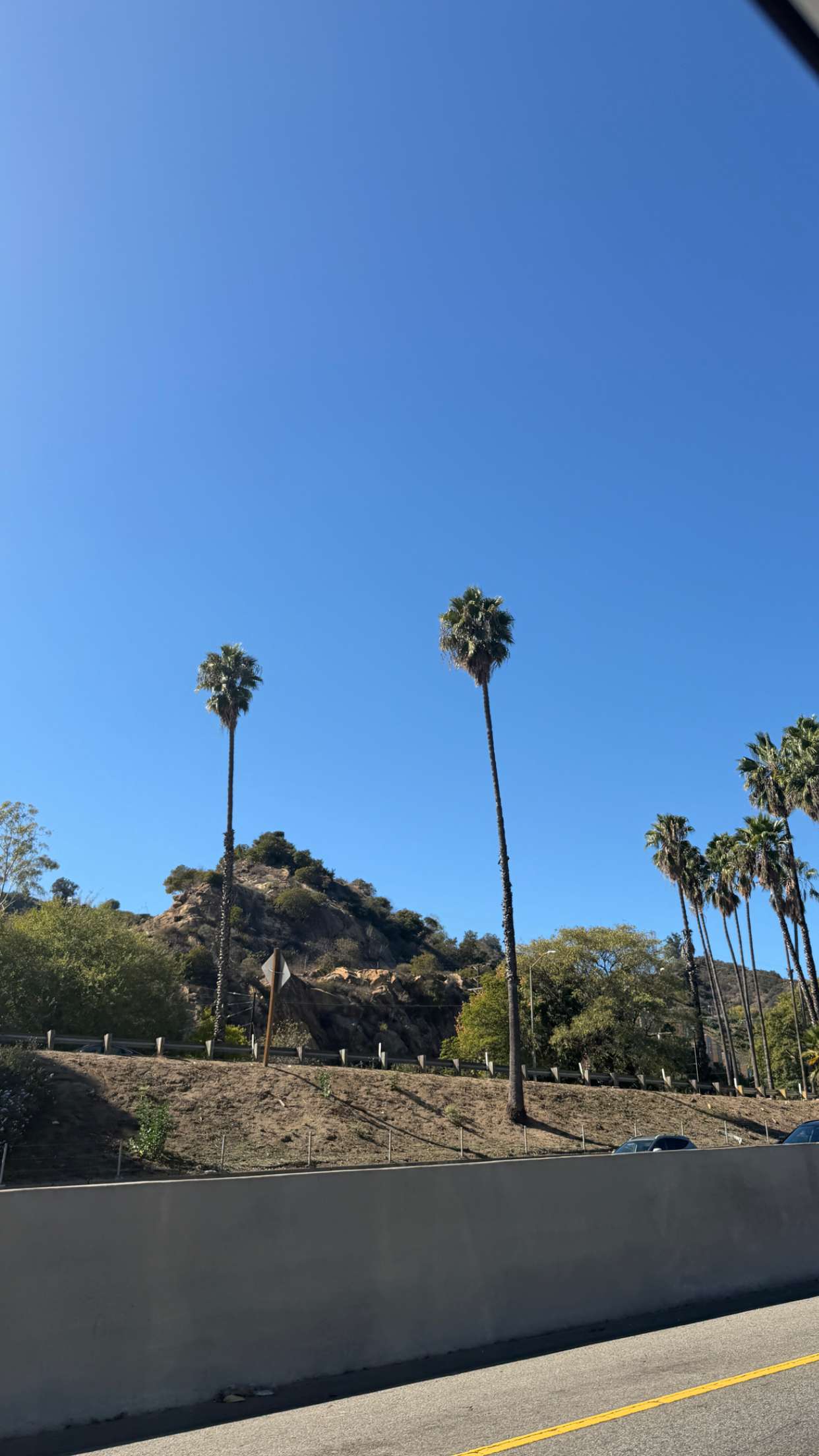 samantrasunny snapchat image archive image