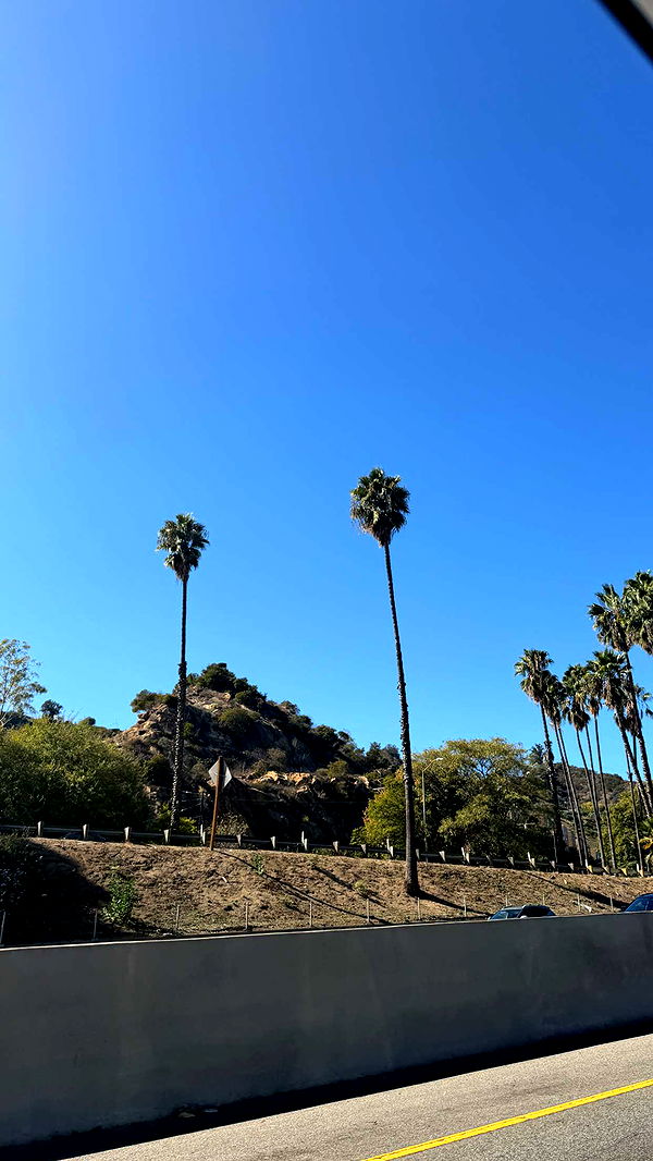 samantrasunny image ~ Altpins