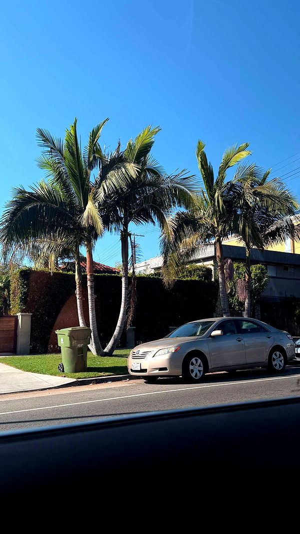 samantrasunny image ~ Altpins