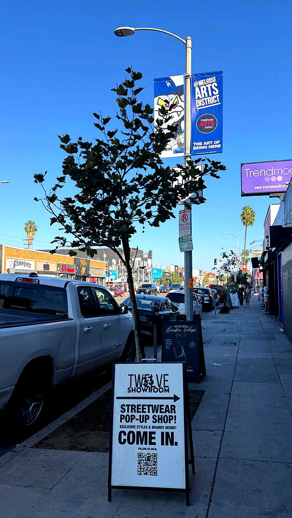 samantrasunny image ~ Altpins