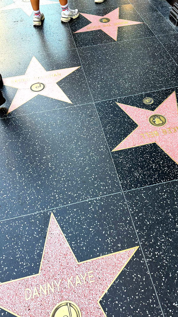 samantrasunny image ~ Altpins