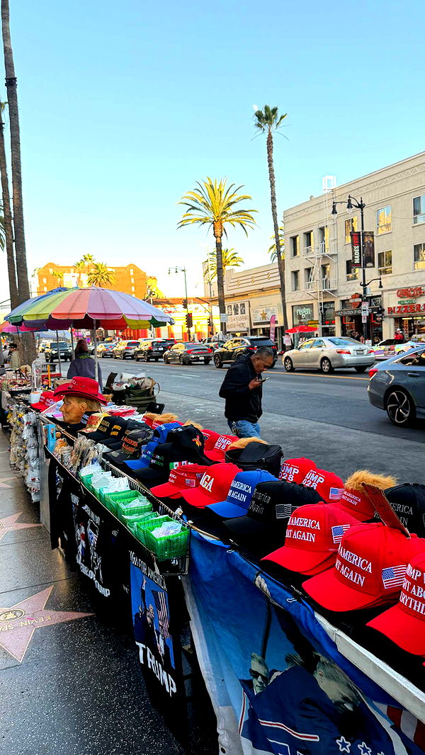 samantrasunny image ~ Altpins