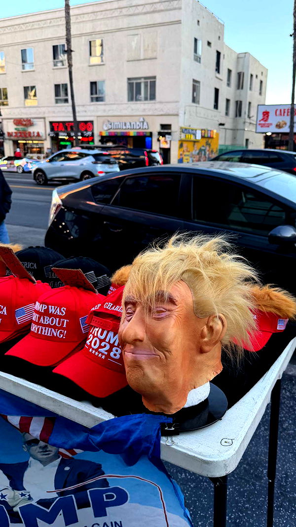 samantrasunny image ~ Altpins