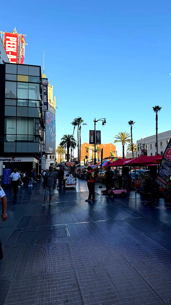 samantrasunny image ~ Altpins