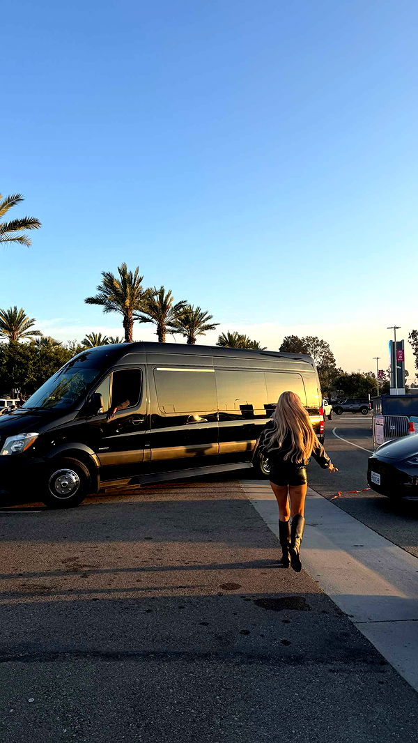 samantrasunny image ~ Altpins