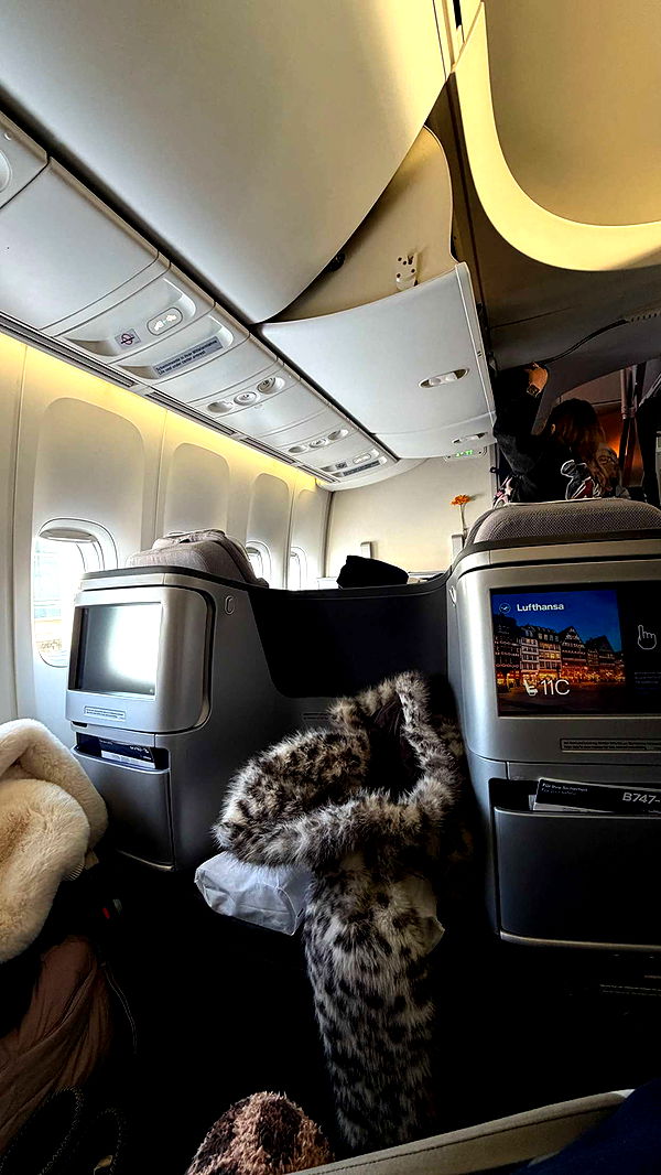 samantrasunny image ~ Altpins