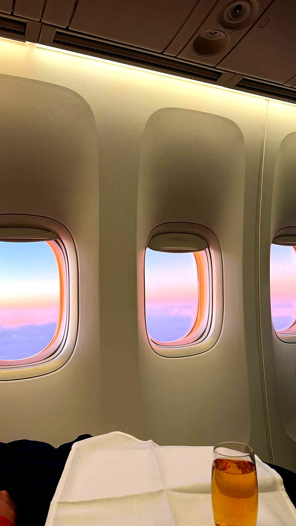 samantrasunny image ~ Altpins