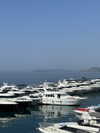 savmcannon Altpins Profile Picture