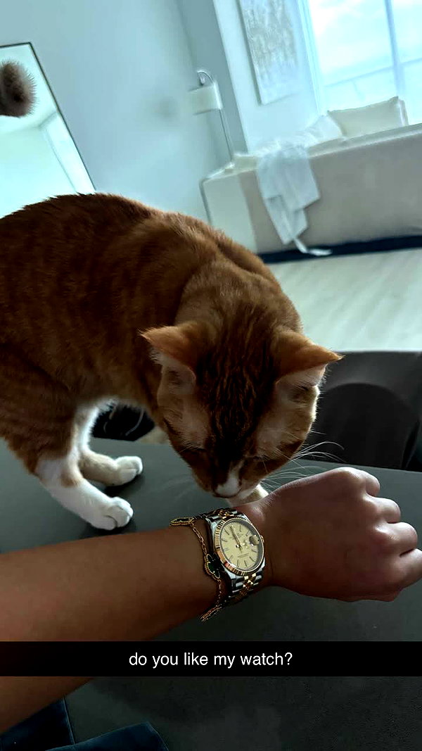 savmcannon snapchat image archive image