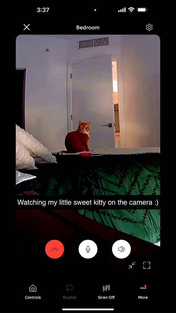 savmcannon snapchat image archive image