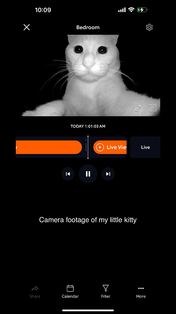 savmcannon snapchat image archive image
