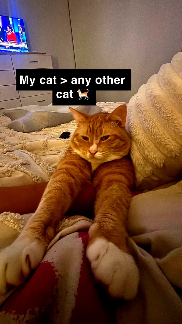 savmcannon snapchat image archive image