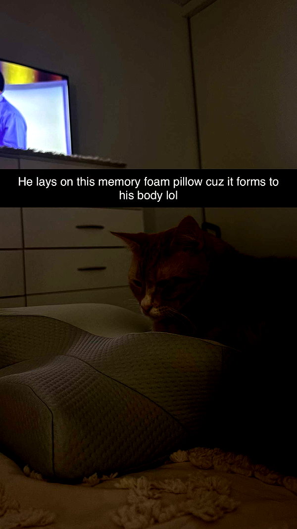 savmcannon snapchat image archive image