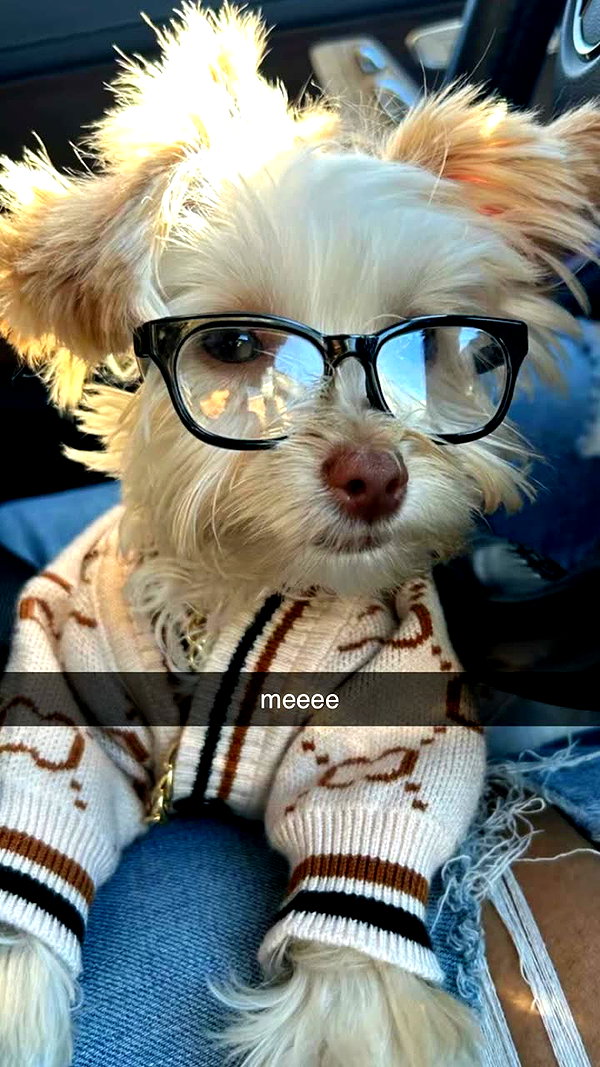 shysmith2000 snapchat image archive image