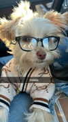 shysmith2000 Altpins Profile Picture