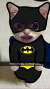 shysmith2000 Altpins Profile Picture