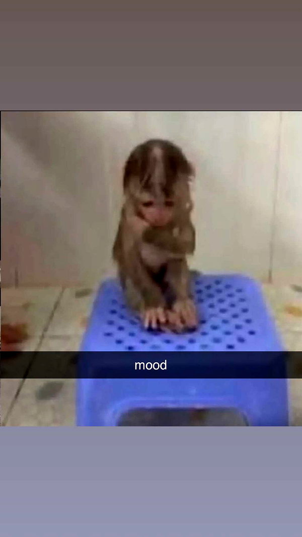 shysmith2000 snapchat image archive image