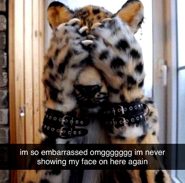 shysmith2000 snapchat image archive image