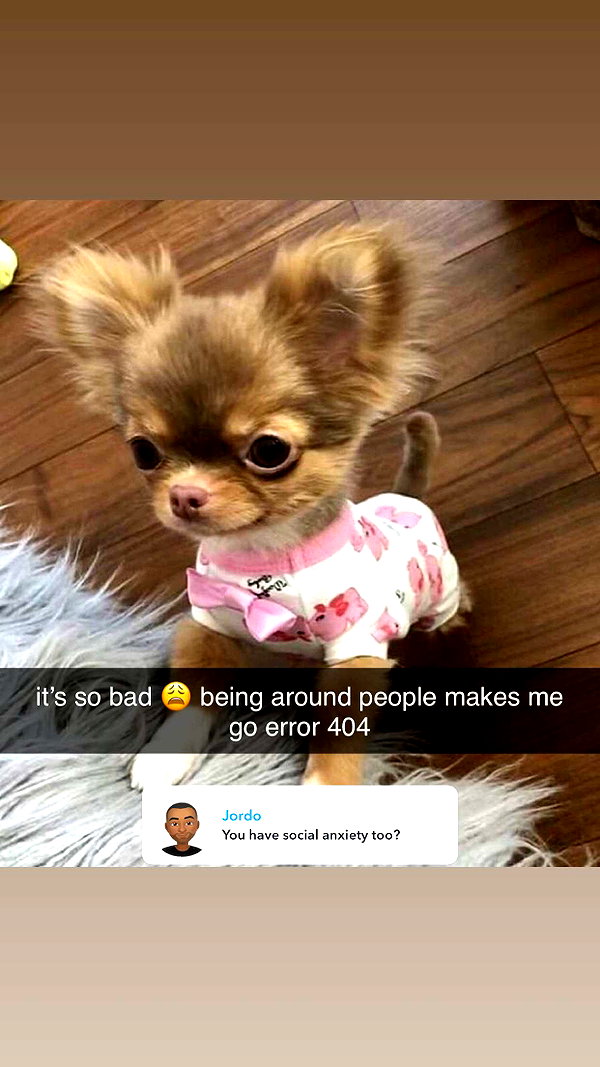 shysmith2000 snapchat image archive image