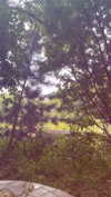 shysmith2000 Altpins Profile Picture