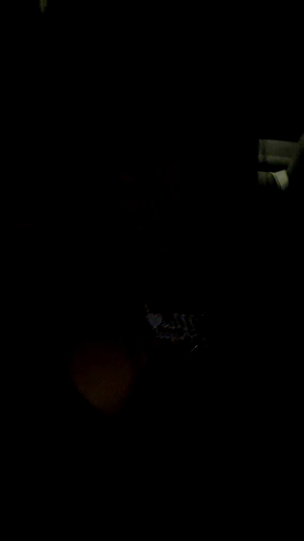 shysmith2000 snapchat image archive image