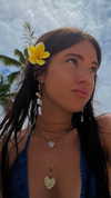 sierracannon Altpins Profile Picture