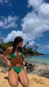 sierracannon Altpins Profile Picture