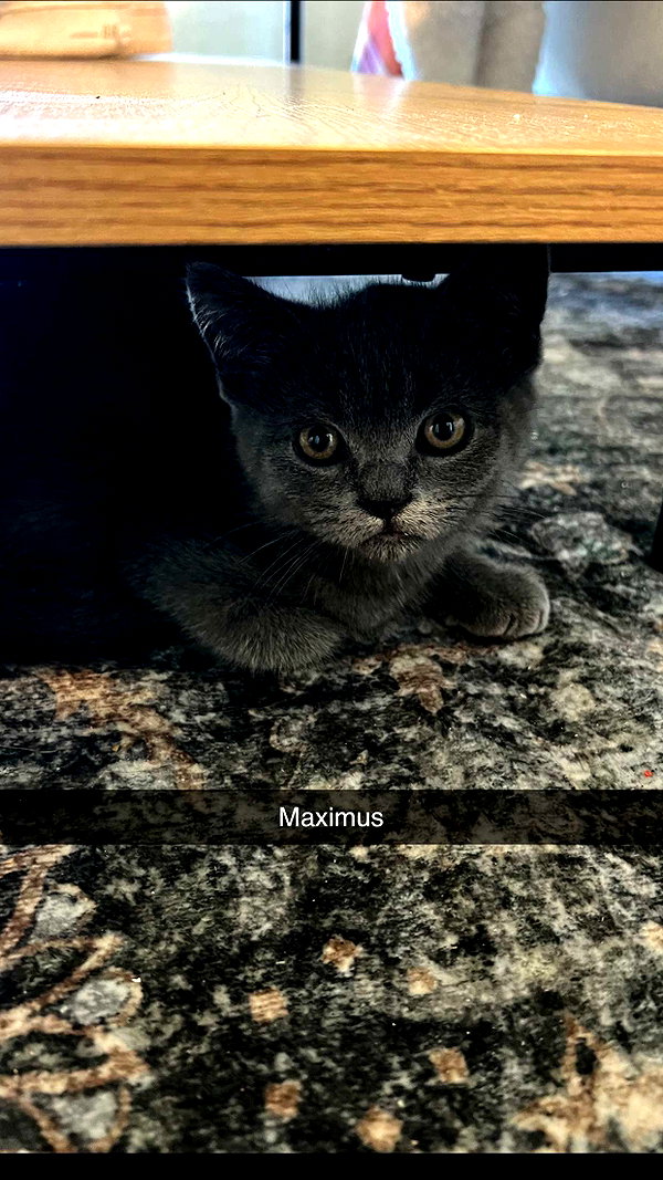 sierracannon snapchat image archive image