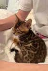 sierraccabot Altpins Profile Picture
